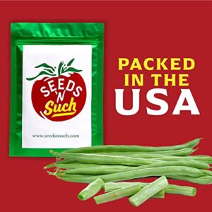 Seeds N Such 1310 Hand Selected Spring Vegetable Garden Seeds | Includes 5 Individually Packaged Seeds Tomatoes, Blue Beans, Cucumbers, Lettuce & Peppers | Untreated & Non-GMO