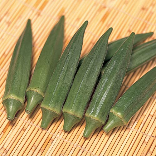 Jambalaya Okra Seeds - 2 g Packet ~30 Seeds - Heirloom, Non-GMO Vegetable Gardening Seeds for Farm & Garden