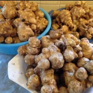 Jerusalem Artichoke Tubers Planting, 0.5 LB Ornaments Garden Perennials Simple to Grow Pots Gift