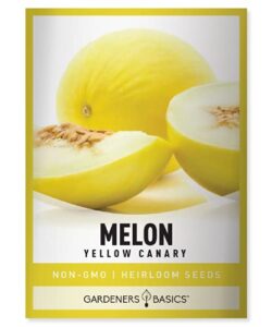 yellow canary melon seeds for planting heirloom, non-gmo vegetable variety- 2 grams seed great for summer melon gardens by gardeners basics