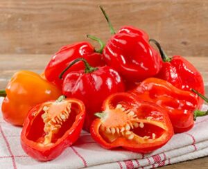 tke farms – red habanero seeds for planting, 80 heirloom seeds, capsicum chinense