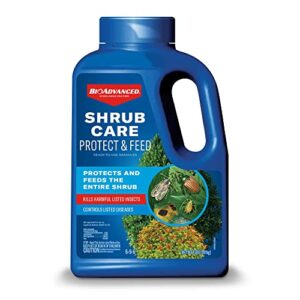 bioadvanced shrub care protect & feed, granules, 4 lb.