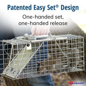 Havahart 1083 Catch and Release Small 1-Door Easy Set Humane Live Animal Trap for Squirrels, Rabbits, Skunks, and Other Small Animals