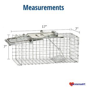 Havahart 1083 Catch and Release Small 1-Door Easy Set Humane Live Animal Trap for Squirrels, Rabbits, Skunks, and Other Small Animals