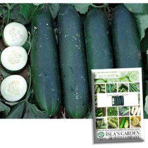 “crispy green” cucumber seeds for planting, 25+ seeds per packet, (isla’s garden seeds), non gmo & heirloom seeds, botanical name: cucumis sativus, great home garden gift