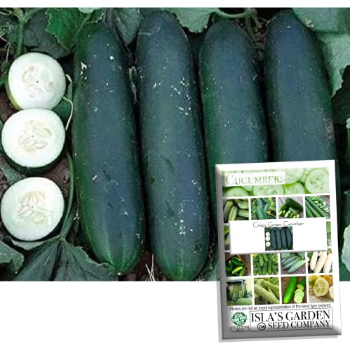 "Crispy Green" Cucumber Seeds for Planting, 25+ Seeds Per Packet, (Isla's Garden Seeds), Non GMO & Heirloom Seeds, Botanical Name: Cucumis sativus, Great Home Garden Gift