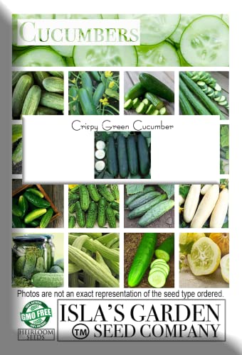 "Crispy Green" Cucumber Seeds for Planting, 25+ Seeds Per Packet, (Isla's Garden Seeds), Non GMO & Heirloom Seeds, Botanical Name: Cucumis sativus, Great Home Garden Gift