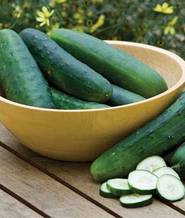 "Crispy Green" Cucumber Seeds for Planting, 25+ Seeds Per Packet, (Isla's Garden Seeds), Non GMO & Heirloom Seeds, Botanical Name: Cucumis sativus, Great Home Garden Gift