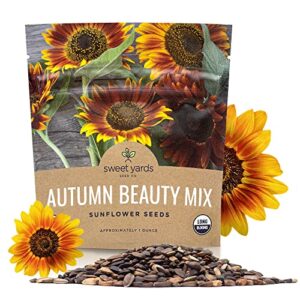 sweet yards seed co. autumn beauty sunflower seeds – extra large packet – over 1,400 open pollinated non-gmo wildflower seeds – helianthus annus – beautiful shades of gold, bronze, yellow, and purple