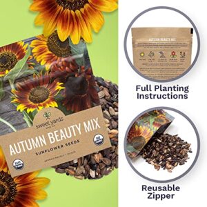 Sweet Yards Seed Co. Autumn Beauty Sunflower Seeds – Extra Large Packet – Over 1,400 Open Pollinated Non-GMO Wildflower Seeds – Helianthus annus – Beautiful Shades of Gold, Bronze, Yellow, and Purple