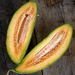 david’s garden seeds fruit melon banana 8899 (orange) 50 non-gmo, heirloom seeds