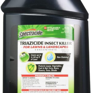 Lawn Insect Killer, Case Pack of 1