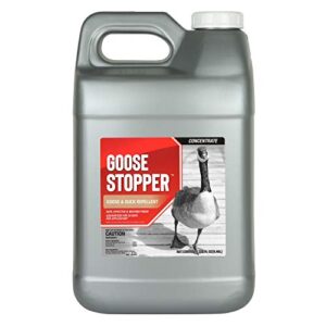 goose stopper repellent – safe & effective, all natural food grade ingredients; repels geese and ducks; easy to use, 2.5 gallon liquid concentrate