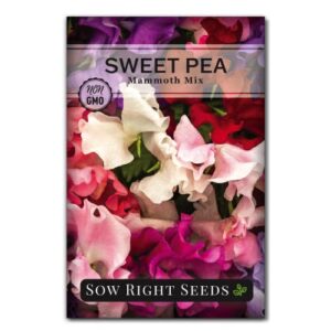 sow right seeds – mammoth mix sweet pea seeds for planting – beautiful flowers to plant in your garden – non-gmo heirloom seeds – fragrant colorful blooms for bouquets – wonderful gardening gift