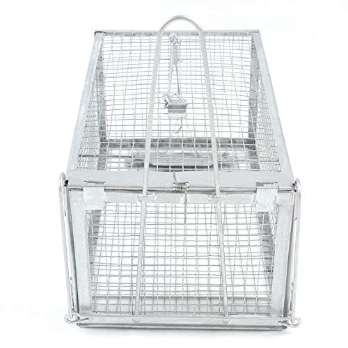 H&B Luxuries Rat Trap - Humane Live Animal Cage for Rat Mouse Hamster Mole Weasel Gopher Chipmunk Squirrels and More Rodents (Small)
