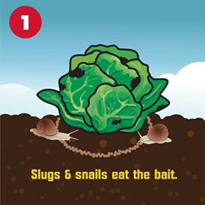 Corry's Slug and Snail Killer 1.75 Pound Box