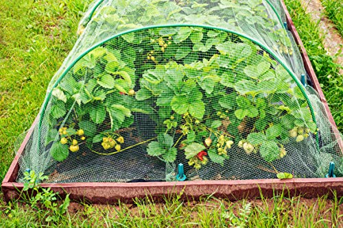 Extra Tall Metal Garden Hoops, Ohuhu 6 PCS Durable Thickened Greenhouse Hoop Rustproof Extra-Long 19.7"x38.6" Steel Tunnel with Splicing Stakes, Green House Arched Hoops for Raised Beds Fabric Netting