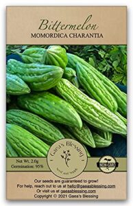 gaea’s blessing seeds – bitter melon seeds – bitter gourd heirloom non-gmo bittermelon seeds with easy to follow planting instructions – 92% germination rate (pack of 1)