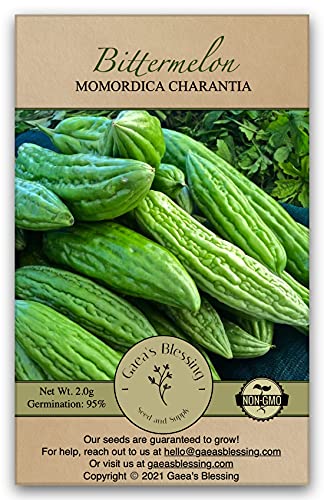 Gaea's Blessing Seeds - Bitter Melon Seeds - Bitter Gourd Heirloom Non-GMO Bittermelon Seeds with Easy to Follow Planting Instructions - 92% Germination Rate (Pack of 1)