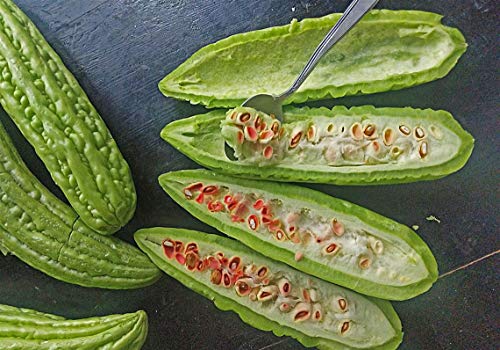 Gaea's Blessing Seeds - Bitter Melon Seeds - Bitter Gourd Heirloom Non-GMO Bittermelon Seeds with Easy to Follow Planting Instructions - 92% Germination Rate (Pack of 1)