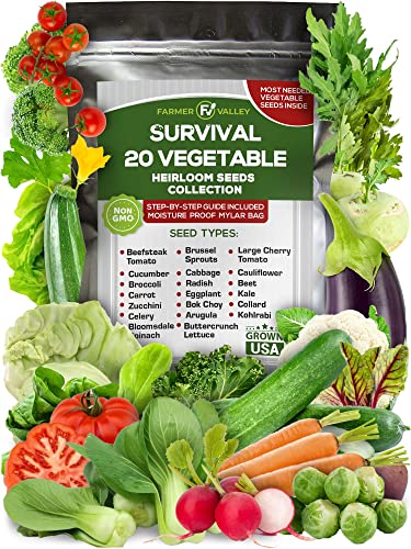 20 Heirloom Vegetable Seeds for Planting - 100% Non GMO - Most Popular Garden Vegetable Seeds Variety Pack - Cucumber, Carrot, Broccoli, Radish, Kale, Zucchini, Cabbage, Beet, Arugula, Celery and More