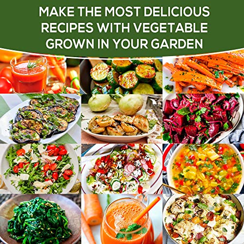 20 Heirloom Vegetable Seeds for Planting - 100% Non GMO - Most Popular Garden Vegetable Seeds Variety Pack - Cucumber, Carrot, Broccoli, Radish, Kale, Zucchini, Cabbage, Beet, Arugula, Celery and More