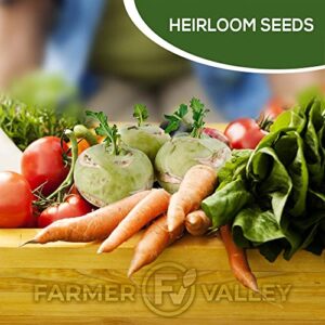 20 Heirloom Vegetable Seeds for Planting - 100% Non GMO - Most Popular Garden Vegetable Seeds Variety Pack - Cucumber, Carrot, Broccoli, Radish, Kale, Zucchini, Cabbage, Beet, Arugula, Celery and More