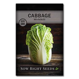 sow right seeds – michihili napa cabbage seed for planting – non-gmo heirloom packet with instructions to plant an outdoor home vegetable garden – great gardening gift (1)