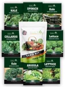 heirloom lettuce mix and greens garden seeds, 8 varieties, 5300 seeds, hydroponic seeds, includes bibb butter lettuce seeds for planting, kale, arugula seeds, spinach, collards, and more, non-gmo…
