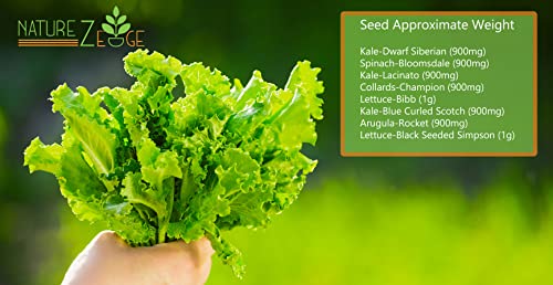 Heirloom Lettuce Mix and Greens Garden Seeds, 8 Varieties, 5300 Seeds, Hydroponic Seeds, Includes Bibb Butter Lettuce Seeds for Planting, Kale, Arugula Seeds, Spinach, Collards, and More, Non-GMO…