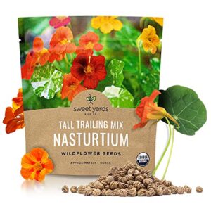 sweet yards seed co. nasturtium seeds – mixed colors – extra large packet – over 200 open pollinated non-gmo flower seeds – tropaeolum majus