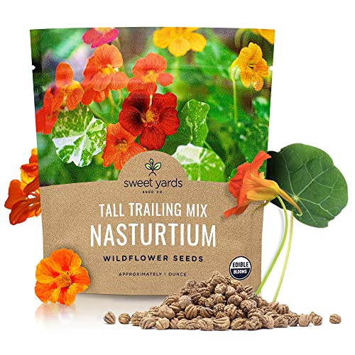 Sweet Yards Seed Co. Nasturtium Seeds – Mixed Colors – Extra Large Packet – Over 200 Open Pollinated Non-GMO Flower Seeds – Tropaeolum majus