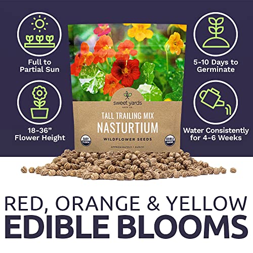 Sweet Yards Seed Co. Nasturtium Seeds – Mixed Colors – Extra Large Packet – Over 200 Open Pollinated Non-GMO Flower Seeds – Tropaeolum majus