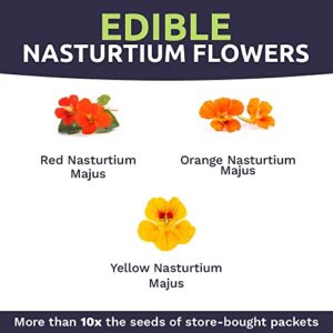 Sweet Yards Seed Co. Nasturtium Seeds – Mixed Colors – Extra Large Packet – Over 200 Open Pollinated Non-GMO Flower Seeds – Tropaeolum majus