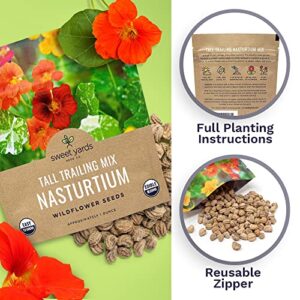 Sweet Yards Seed Co. Nasturtium Seeds – Mixed Colors – Extra Large Packet – Over 200 Open Pollinated Non-GMO Flower Seeds – Tropaeolum majus