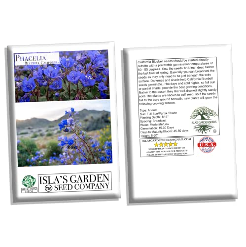 Phacelia "California Bluebell" Flower Seeds for Planting, 1000+ Seeds Per Packet, (Isla's Garden Seeds), Non GMO & Heirloom, Scientific Name: Phacelia campanularia, Great Home Garden Gift