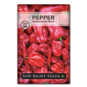 Sow Right Seeds - Heirloom Pepper Starter Kit - 5 Seed Packets, Pots, Potting Soil, Plant Markers - Start Habanero Bell Cayenne Serrano and Cubanelle Seeds Indoors - Non GMO Great Gift