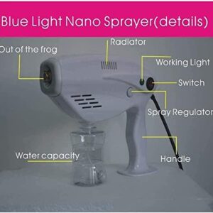 Steam Gun Spray Nano Atomizer Small Sterilization Container Steam Gun, Handheld Rechargeable Nano Atomizer Electric Sprayer Nozzle Adjustable Fogger for Home, Office, School or Garden