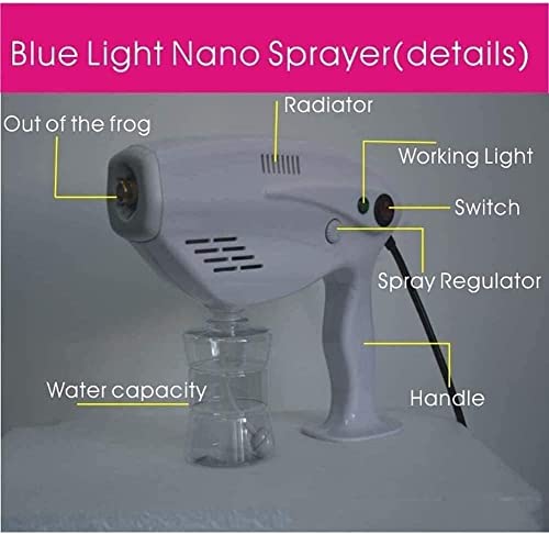 Steam Gun Spray Nano Atomizer Small Sterilization Container Steam Gun, Handheld Rechargeable Nano Atomizer Electric Sprayer Nozzle Adjustable Fogger for Home, Office, School or Garden