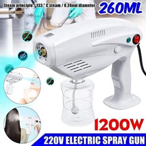 Steam Gun Spray Nano Atomizer Small Sterilization Container Steam Gun, Handheld Rechargeable Nano Atomizer Electric Sprayer Nozzle Adjustable Fogger for Home, Office, School or Garden