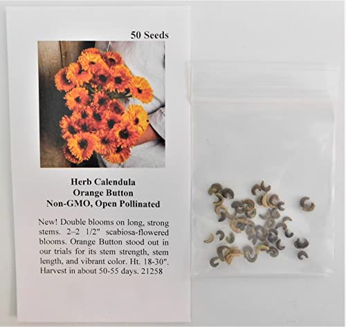 David's Garden Seeds Herb Calendula Orange Button FBA-00085 (Orange) 50 Non-GMO, Open Pollinated Seeds