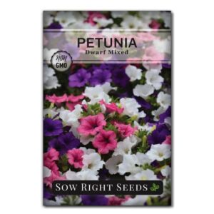 sow right seeds – dwarf mixed petunia seeds to plant – full instructions for planting and growing a flower garden – non-gmo heirloom seeds – annual hanging basket flower – wonderful gardening gift