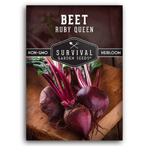 survival garden seeds – ruby queen beet seed for planting – packet with instructions to plant and grow sweet delicious & nutritious red beets in your home vegetable garden – non-gmo heirloom variety