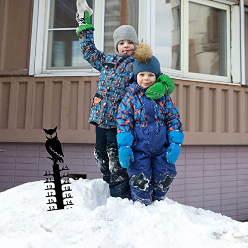 Gift 24cm Snowflake Snow Measuring Instrument Snowmobile Snow Measuring Instrument Metal Snow Measuring Ruler Outdoor Garden Ornament Water Pinball (Black, One Size)