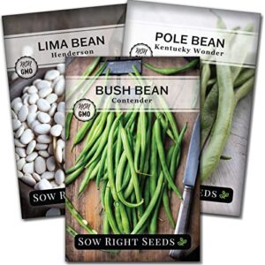 sow right seeds – bean mix seed collection for planting – individual packets kentucky wonder, henderson lima and contender bush beans, non-gmo heirloom seeds to plant an outdoor home vegetable garden