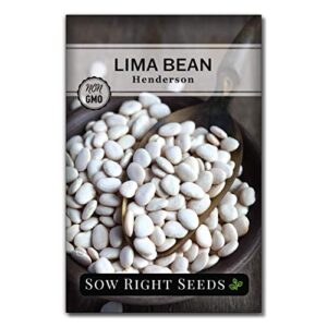 Sow Right Seeds - Bean Mix Seed Collection for Planting - Individual Packets Kentucky Wonder, Henderson Lima and Contender Bush Beans, Non-GMO Heirloom Seeds to Plant an Outdoor Home Vegetable Garden