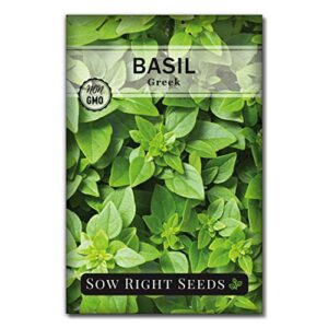 sow right seeds – greek basil seed for planting – non-gmo heirloom seeds – instructions to plant and grow a kitchen herb garden, indoors or outdoor; great gardening gift (1)