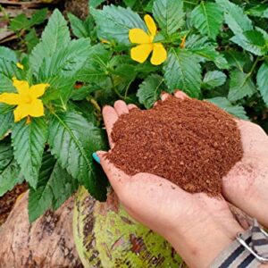 Fjiro Coco | Premium 100% Organic Coconut Coir with Low EC & pH Potting Substrate Soil for Plants | Brick 1.4 lbs