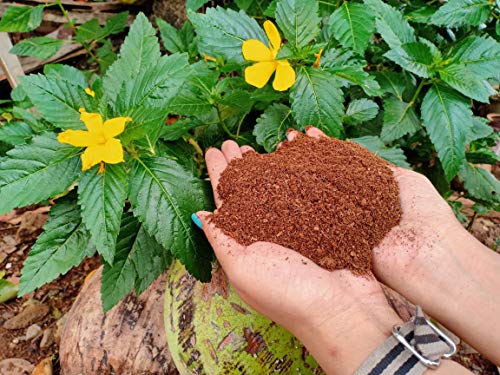 Fjiro Coco | Premium 100% Organic Coconut Coir with Low EC & pH Potting Substrate Soil for Plants | Brick 1.4 lbs