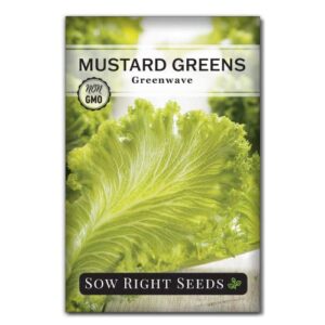 sow right seeds – greenwave mustard greens seed for planting – non-gmo heirloom packet with instructions to plant and grow an outdoor home vegetable garden – culinary herb – wonderful gardening gift